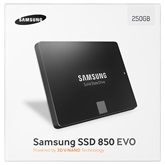 Samsung SATA 850 EVO Basic - 250GB - MZ-75E250B