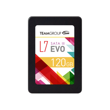 TeamGroup SATA L7 EVO - 120GB - T253L7120GTC101